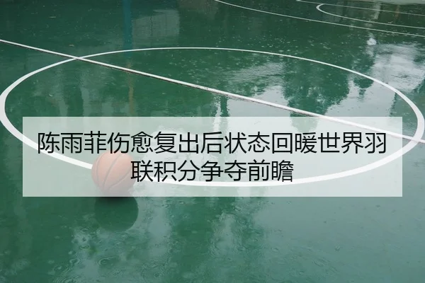 陈雨菲伤愈复出后状态回暖世界羽联积分争夺前瞻