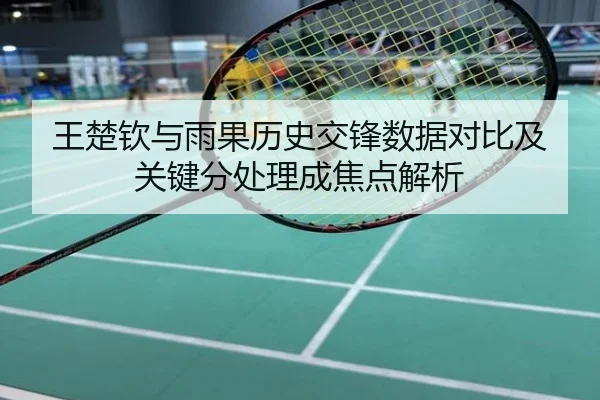 王楚钦与雨果历史交锋数据对比及关键分处理成焦点解析