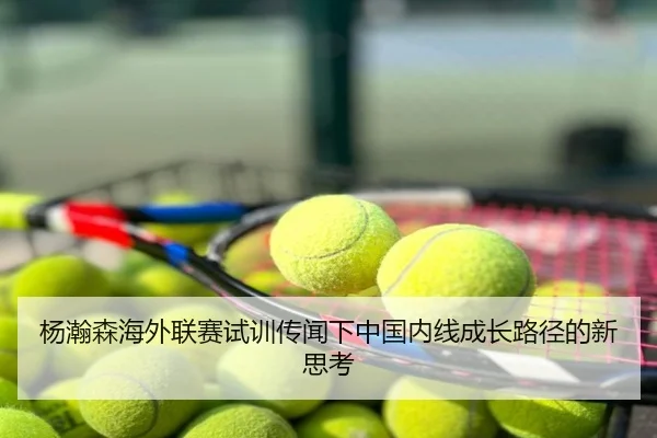 杨瀚森海外联赛试训传闻下中国内线成长路径的新思考